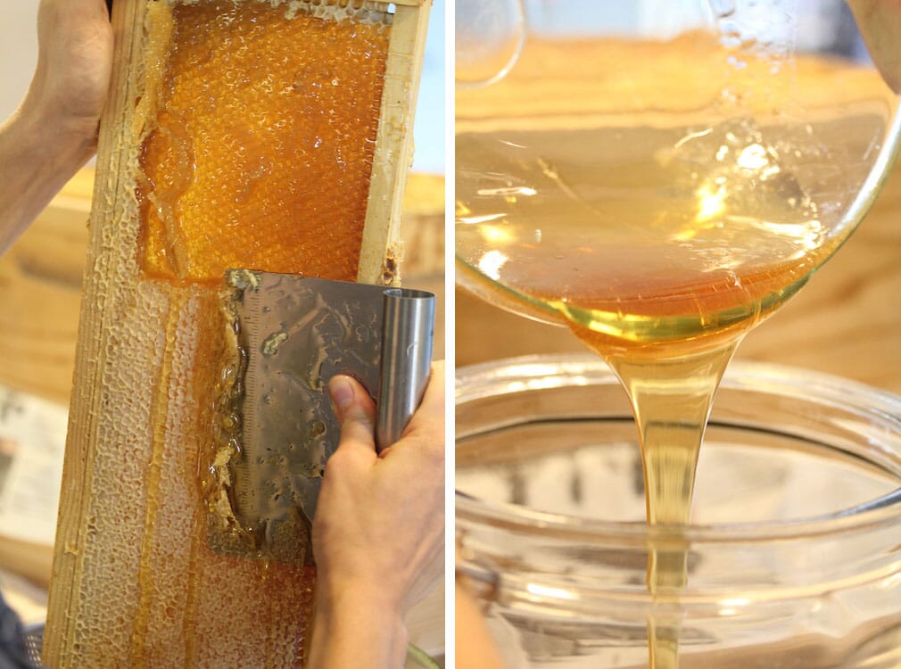 10 Feel-Good Benefits of Honey
