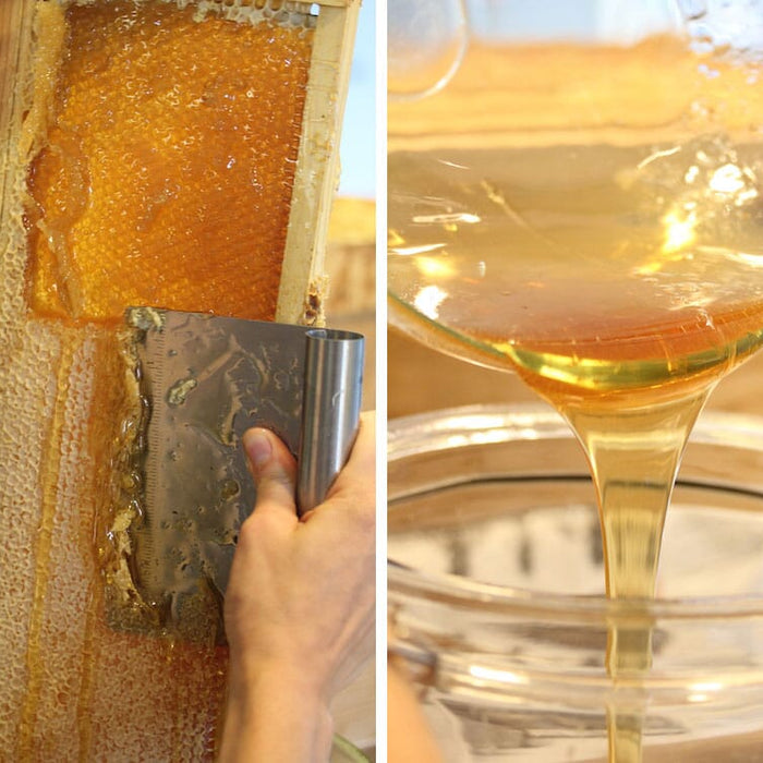 10 Feel-Good Benefits of Honey