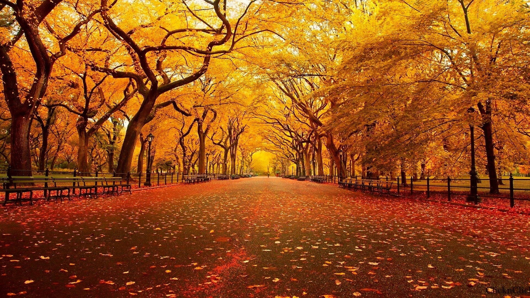 6 Reasons Why Fall is Our Favorite Season