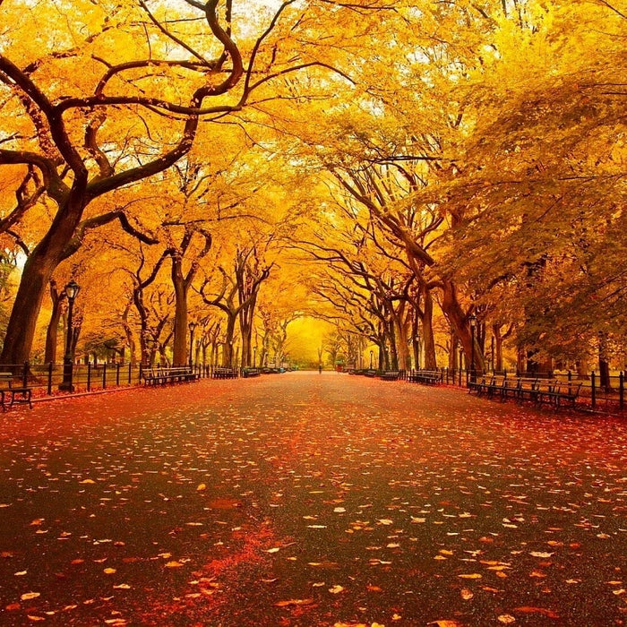 6 Reasons Why Fall is Our Favorite Season