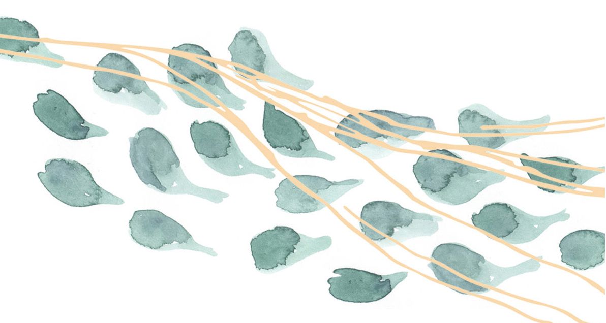 an exciting announcement [coming this winter]