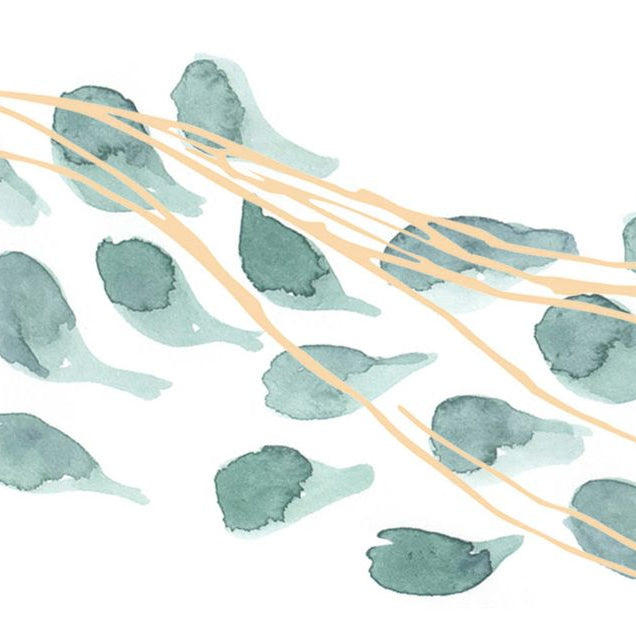 an exciting announcement [coming this winter]