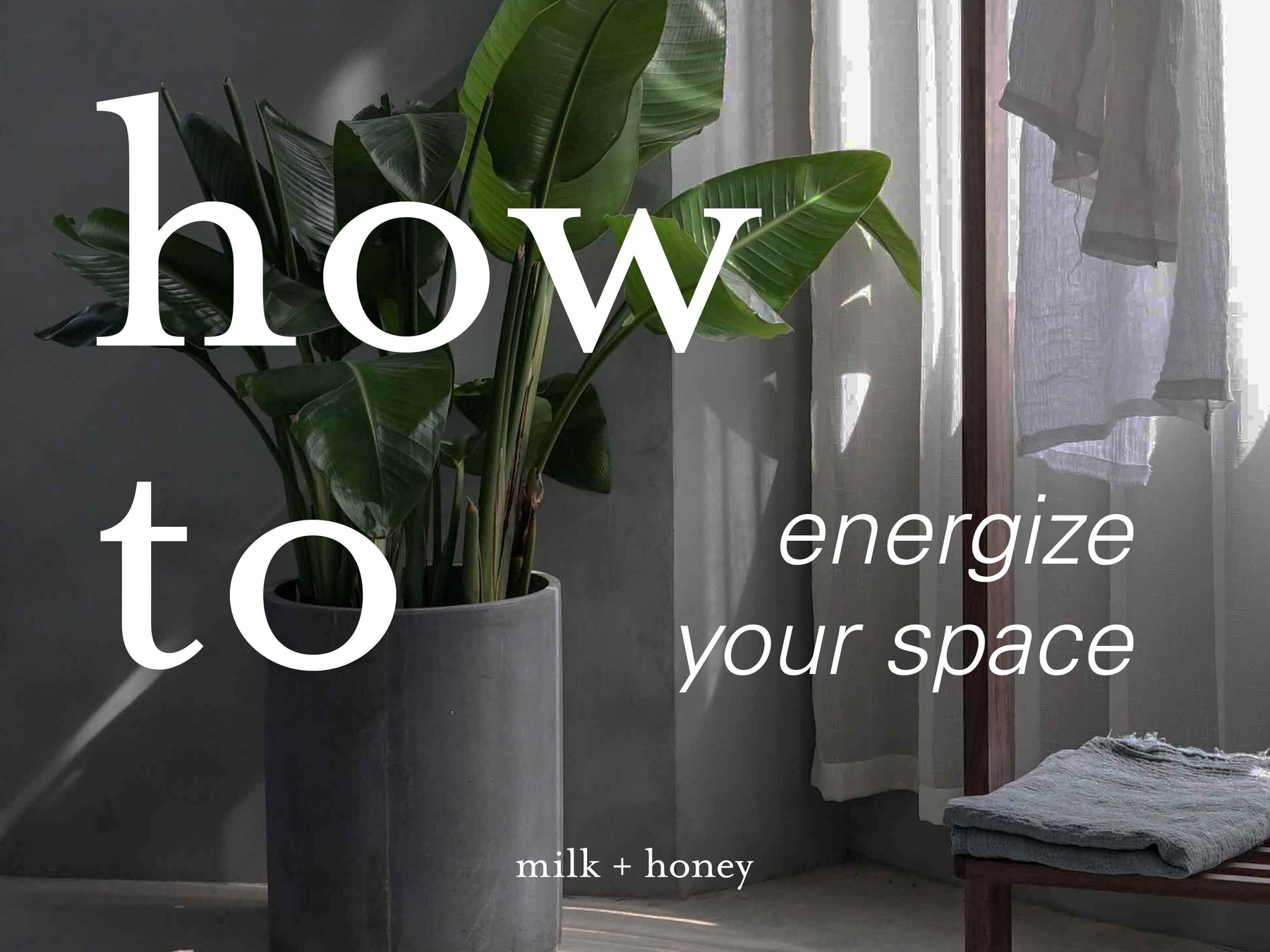 Energize Your Space: a Q&amp;A with Energy Catalyst, Stacy Davenport
