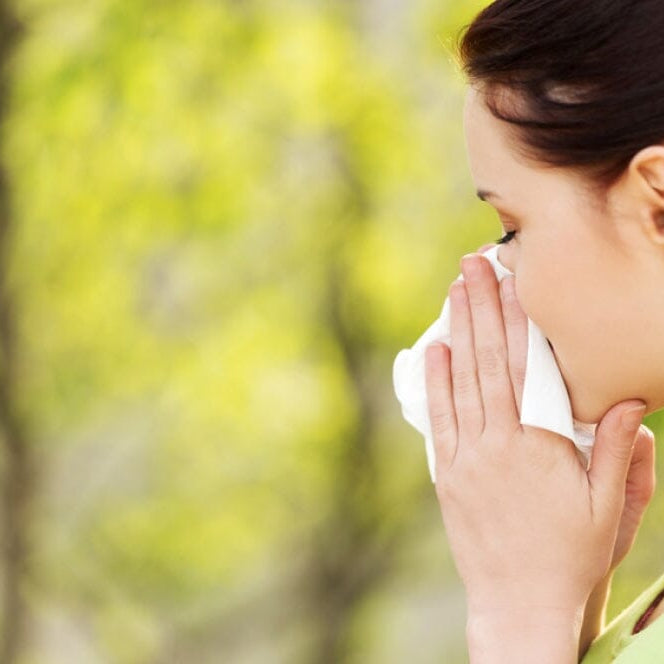 Minimize Your Allergies With These Eight Natural Remedies