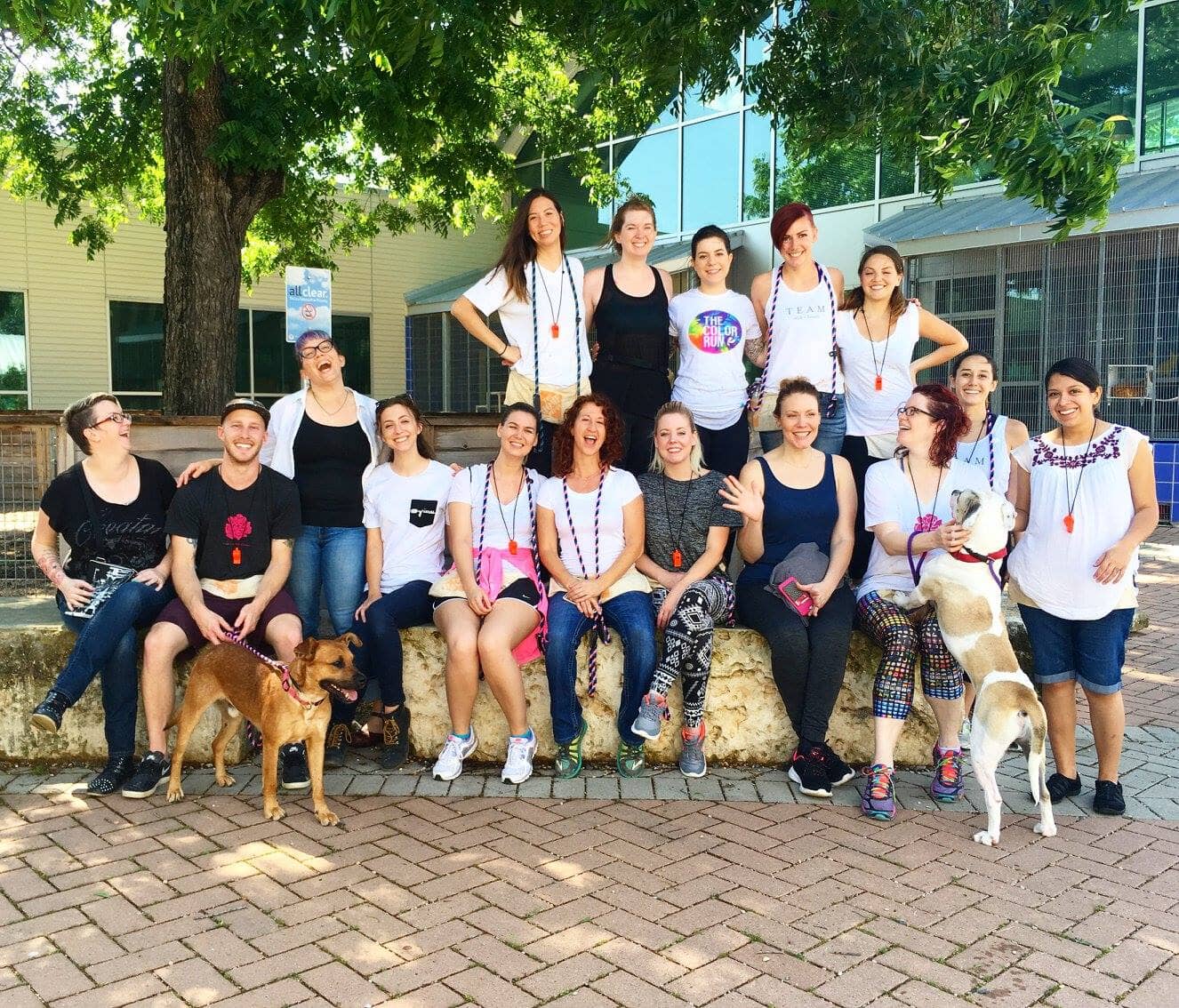 Our Favorite Austin and Houston Organizations to Support on Giving Tuesday