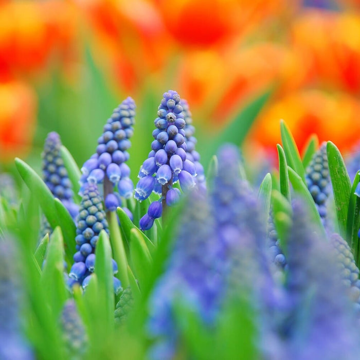 Summer 2017: What We Love Most About the Hottest Time of Year