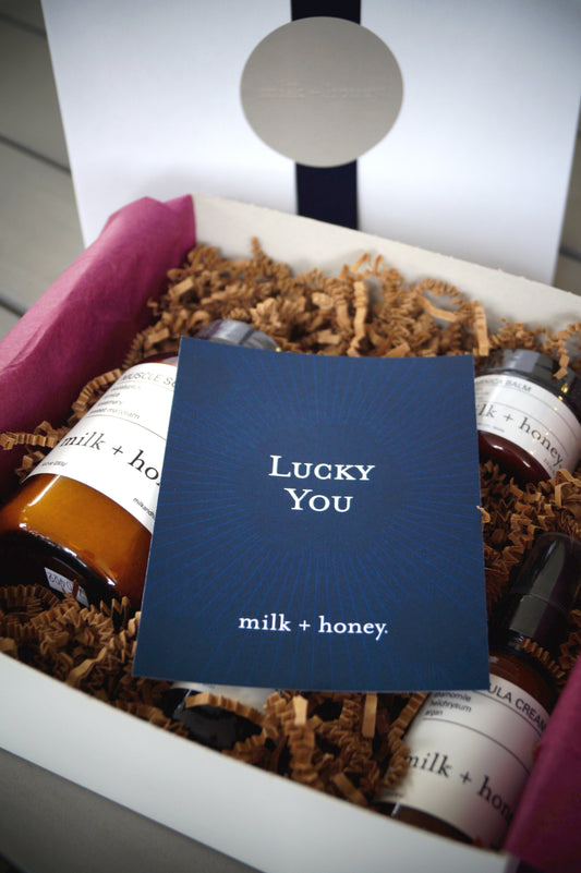 The 2015 milk + honey Holiday Gift Guide