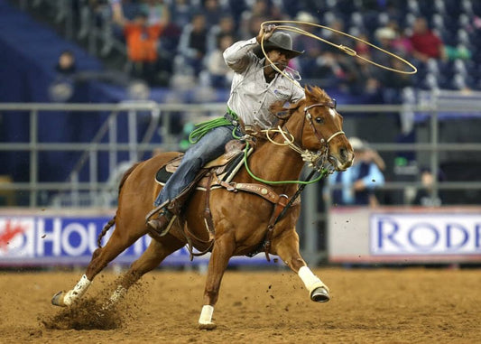 We're Headin' to the Houston Rodeo