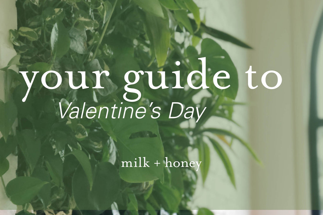 what you really want this Valentine's Day