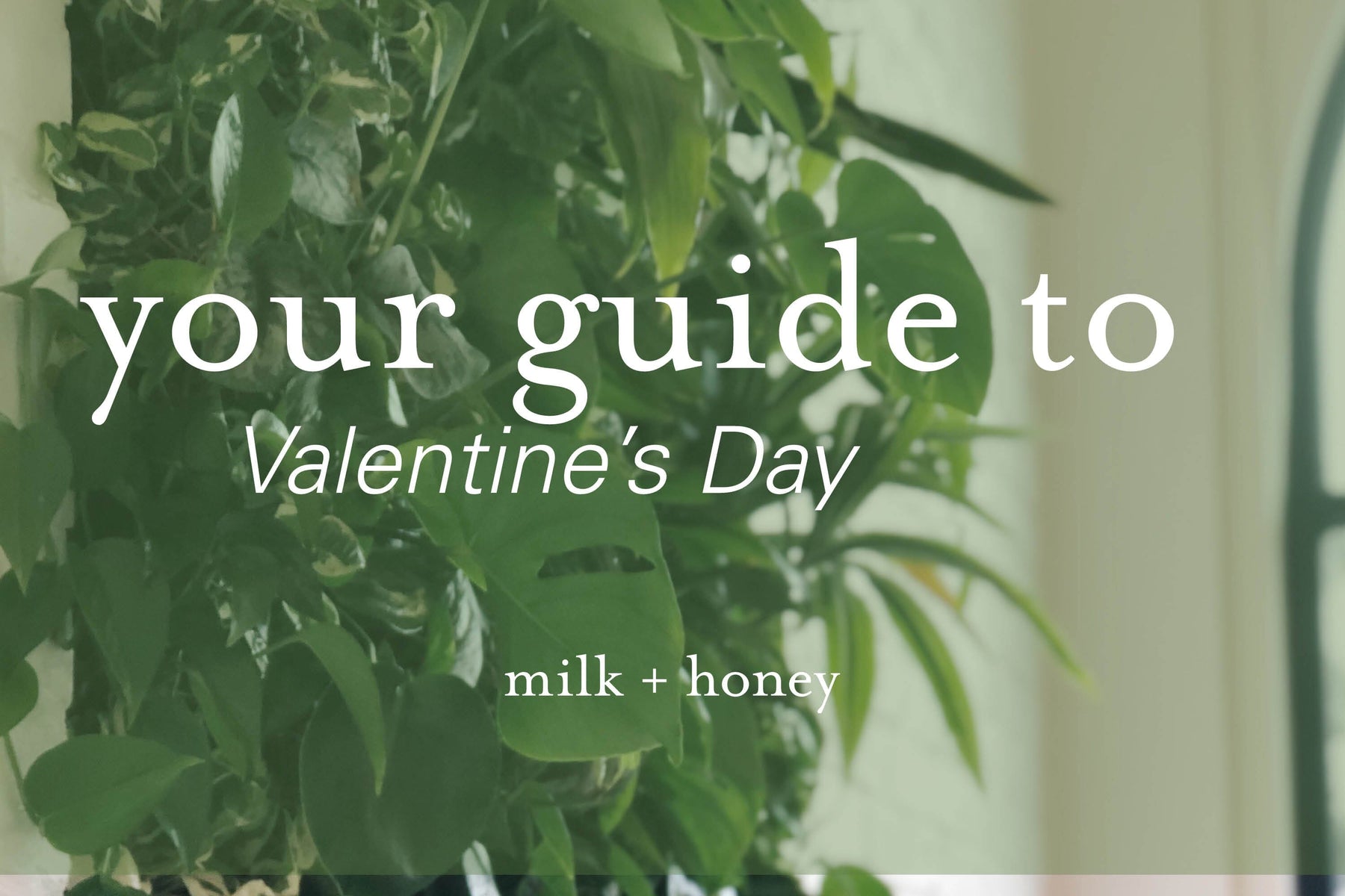 what you really want this Valentine's Day