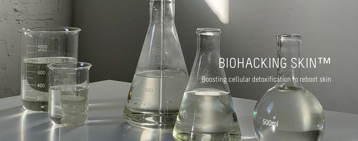 BEAUTOLOGY LAB