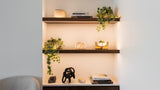 A built-in wall shelf unit with three dark wood floating shelves and warm under-shelf lighting, styled with books, small decor objects, and trailing green plants against a white wall.