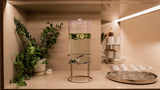 A clear glass water dispenser with a metal stand, filled with water and cucumber slices, set on a beige countertop in a warm, modern kitchen or bar area with plants and glassware.