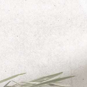 Green plant leaves on a textured white background