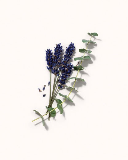 Calming Essential Oil No.08 Essential Oil milk + honey 