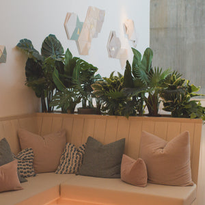 A cozy modern living room corner featuring a light wood U-shaped sectional sofa adorned with beige, pink, and gray throw pillows. A wooden planter box filled with lush green plants sits behind the sofa.