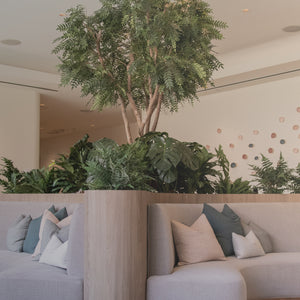 A modern living room or lounge area with light gray upholstered sofas, neutral pillows, a large central indoor tree, and multiple green plants arranged in a planter along the seating area. The room has warm off-white walls, recessed lighting, and a decorative string of round wall lights on the right.