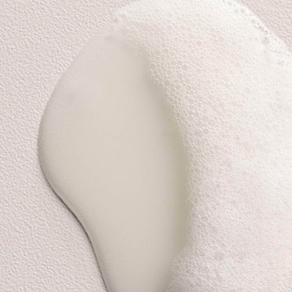 Naturaltech Replumping Shampoo Shampoo Davines 