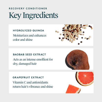 Virtue® Recovery Conditioner Conditioner Virtue Labs 